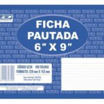 Ficha Pautada 6×9 100 Folhas São Domingos – 1UN