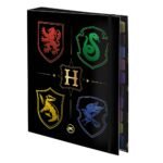 Fichário Universitário com Elástico Harry Potter com 48 Folhas DAC – 1UN